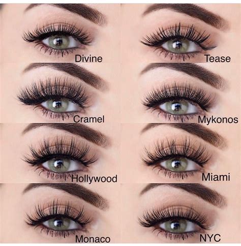 lily lashes